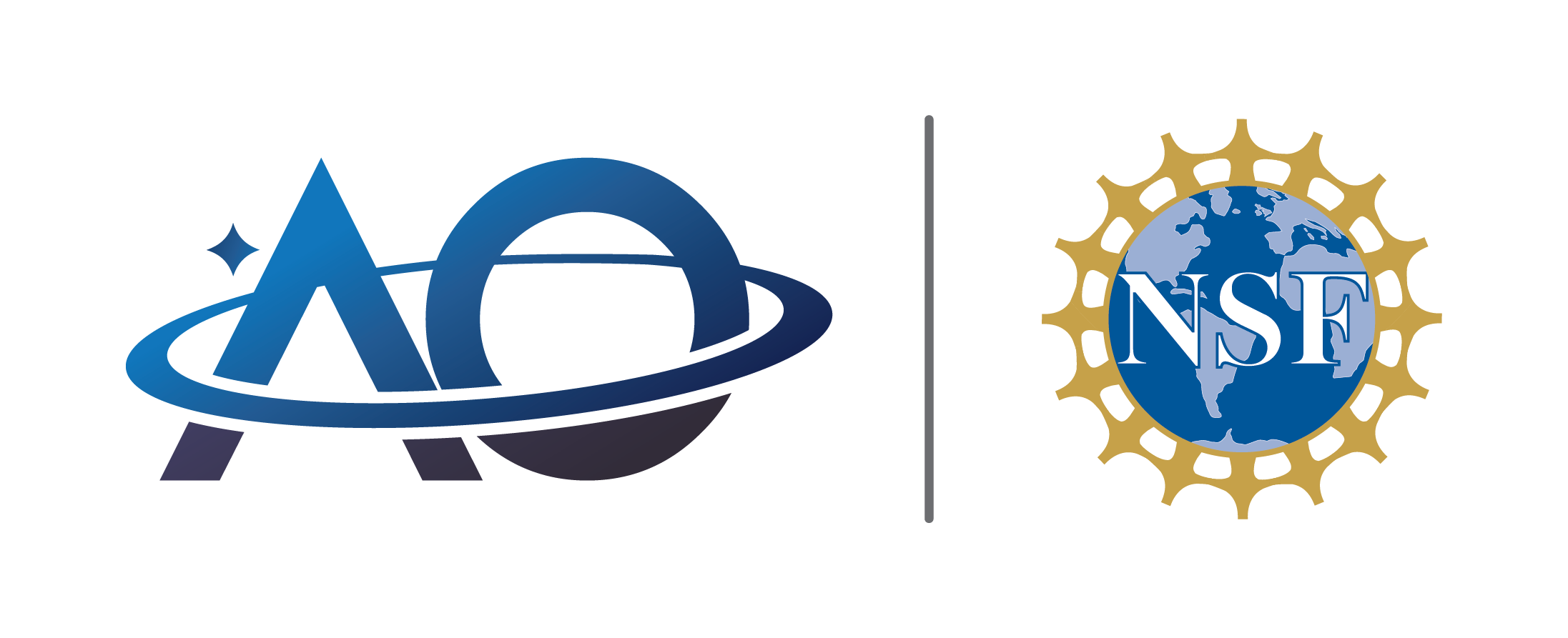 Logo NAIC